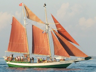 Ostsee-Segelt&ouml;rn